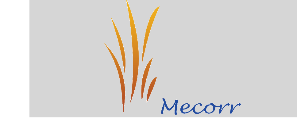 Mecorr Arabia for Maintenance Co.