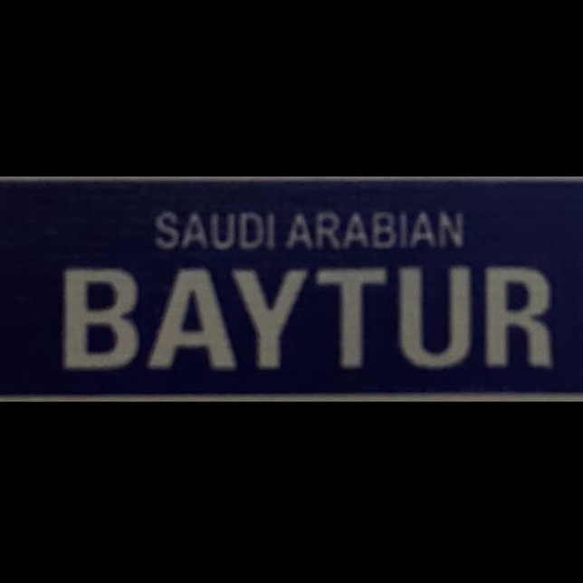 Saudi Arabian Baytur Construction Co