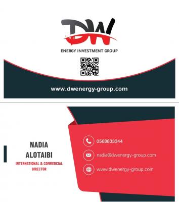 DW ENERGY INVESTMENT GROUP Ltd