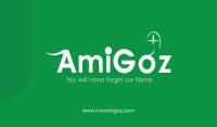 AMIGOZ INFOSOLUTION