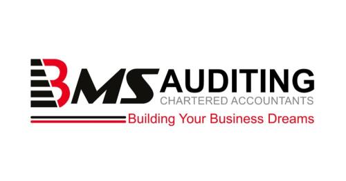 BMS Auditing Saudi Arabia | Audit Services | Accounting Services | Tax Services