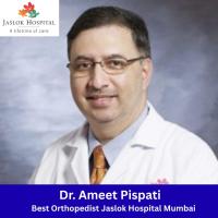 Dr. Ameet Pispati